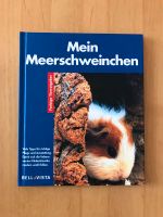 Mein Meerschweinchen Buch, Bell Vista, Tierbuch Hessen - Oberursel (Taunus) Vorschau