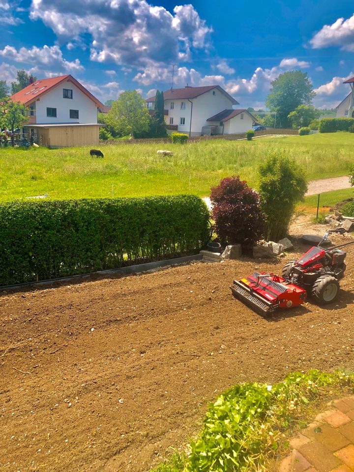 Pflaster,Hecke,Garten,Gartenbau,Baggerarbeiten,Rollrasen,Terrasse in München