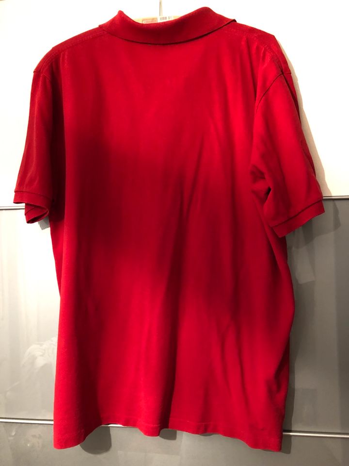 Polo Shirt rot Ralph Lauren XL Mini-Loch in Horn-Bad Meinberg