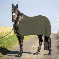 USG Fleecedecke Abschwitzdecke Ponydecke Pferdedecke - Khaki Baden-Württemberg - Gunningen Vorschau