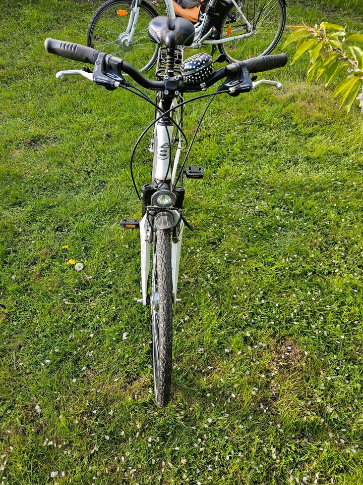 Fahrrad Bergamond ,Damen . in Haldensleben