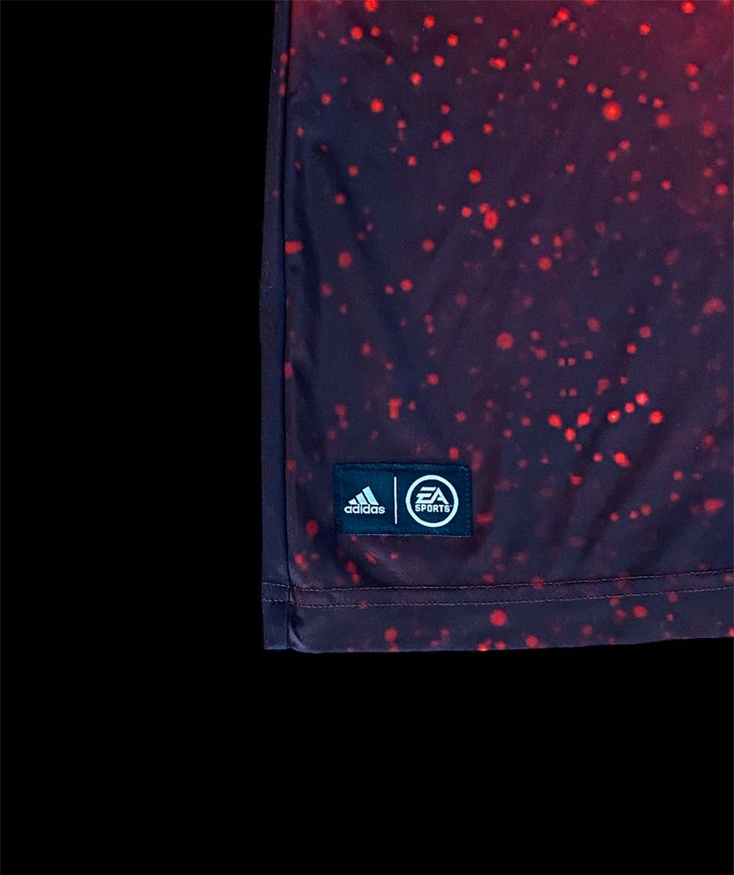 FC Bayern München Sondertrikot EA Sports 2018/2019 in Chieming