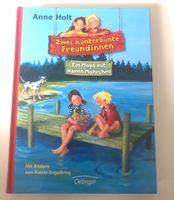 Anne Holt- zwei kunterbunte Freundinnen Baden-Württemberg - Konstanz Vorschau