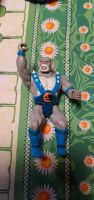 Thundercats 80er Panthro Nordrhein-Westfalen - Alsdorf Vorschau