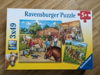Ravensburger Puzzle Pferde 3x49 Dresden - Striesen-Ost Vorschau