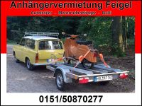 Vermiete Motorradanhänger Motorradtrailer Mopeds Motorräder Klein Niedersachsen - Delligsen Vorschau