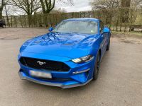 Ford Mustang GT 5.0 V8 | 55 Years Edition | Deutsch Wuppertal - Oberbarmen Vorschau