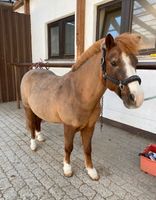 Ponyführen Aubing-Lochhausen-Langwied - Aubing Vorschau