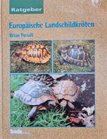 Europäische Landschildkröten - Brian Pursall Bayern - Hausham Vorschau
