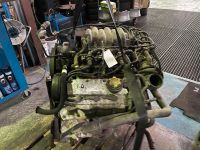 Motor Rover 75 2,0 V6 20 K4F 20K4F 13259 PL35 Sachsen-Anhalt - Coswig (Anhalt) Vorschau