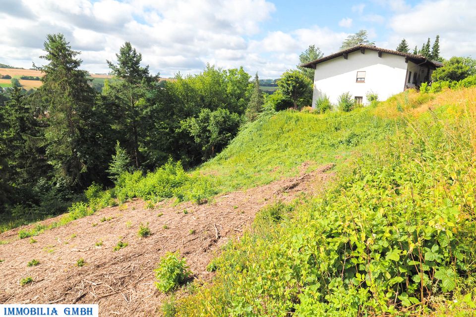 RUHIG GELEGEN MIT SCHÖNEM AUSBLICK-960 qm großes Baugrundstück in Rieschweiler- Mühlbach in Rieschweiler-Mühlbach