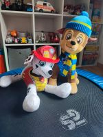 Kuscheltier Paw patrol groß Schleswig-Holstein - Itzstedt Vorschau