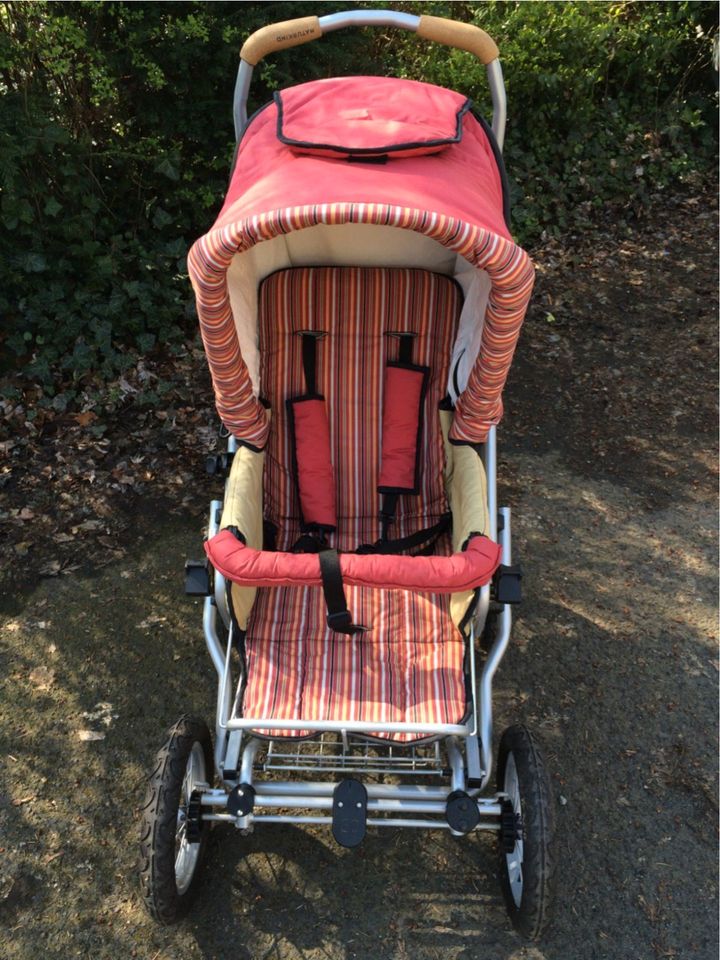 NEU: NATURKIND Öko-Kinderwagen. Typ "Terra", Farbe "Buntspecht" in Wetzlar