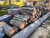 Brennholz Frisch geschnitten Bayern - Eichendorf Vorschau