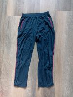 Hose Jogginghose Freizeithose Gr. 42 blau Nordrhein-Westfalen - Borchen Vorschau