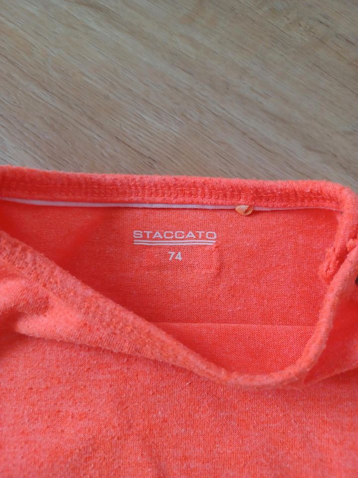 T-Shirt von Staccato, Gr. 74, orange mit Löwe in Norderstedt