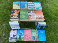 15 x Bücherpaket Romane Unterhaltungsliteratur Urlaub Paket Sachsen - Großhartmannsdorf Vorschau