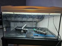 Aquarium in gutem Zustand zu verkaufen Niedersachsen - Hameln Vorschau