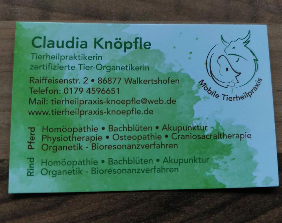 Osteopathie und Physiotherapie für Pferde in Walkertshofen