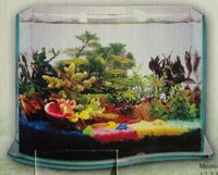 Palm Aquarium von Azoo Choppy die Rückseite hat ein Spiegel Baden-Württemberg - Sindelfingen Vorschau