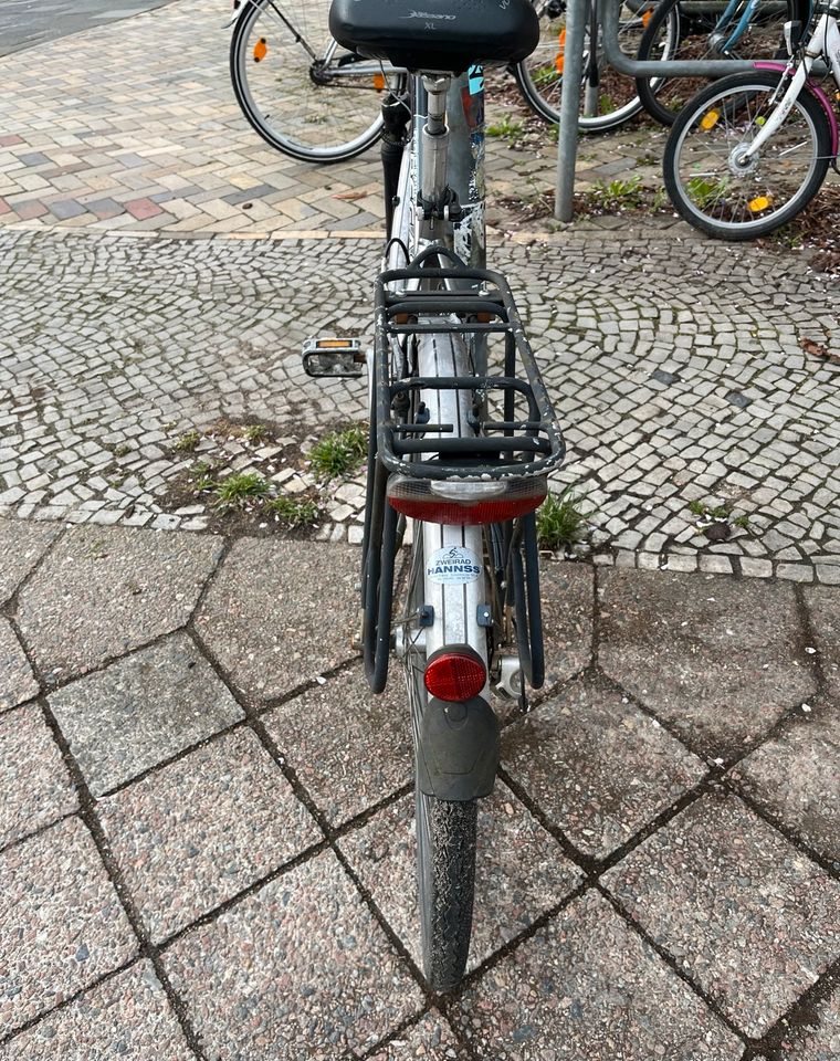 Pegasus Fahrrad in Kiel