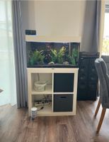 Juwel Aquarium 120 L Hessen - Dornburg Vorschau