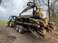 Rückewagen Forstkran Druckluft Leiterrahmen Möre Sf 11 SBF Rheinland-Pfalz - Brockscheid Vorschau