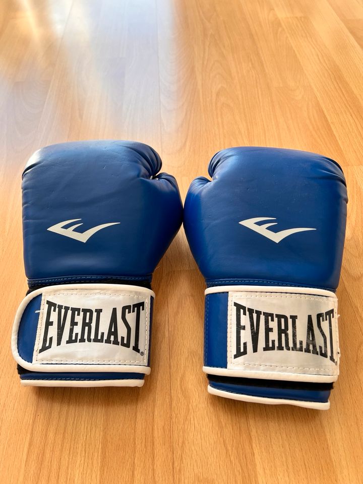 Everlast Boxhandschuhe Ta:10 in Lübeck