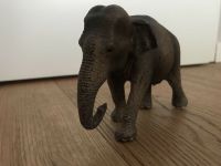 Schleich Asiatische Elefantenkuh Elefant neuwertig Nordrhein-Westfalen - Korschenbroich Vorschau