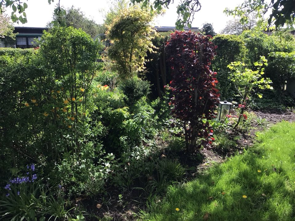 Knüllerpreis 3990€ Garten mit Laube aus Beton in Lambrechtshagen