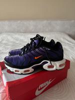 Nike Air Max Plus tn Hessen - Kelsterbach Vorschau