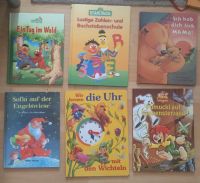 Verschiedene Kinderbücher Nordrhein-Westfalen - Troisdorf Vorschau