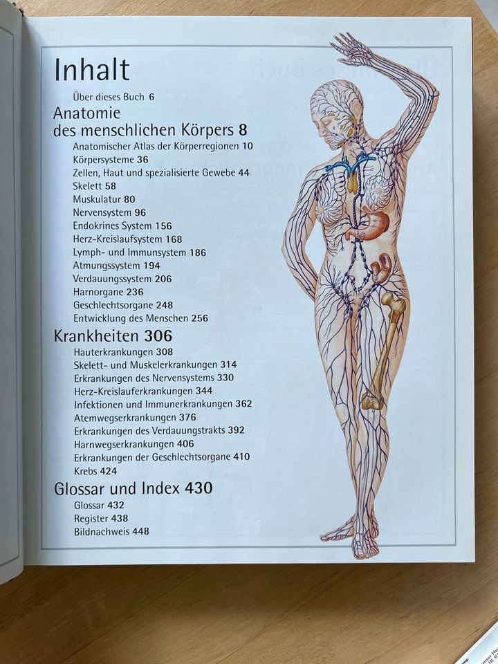 Anatomie Atlas in Mainz