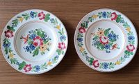 3x Schöne Villeroy & Boch Teller Blume Tirol 23 cm Bayern - Schweinfurt Vorschau