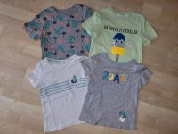 4er Set T-Shirt Gr 110/116 H&M Eis Dino Boot Pailetten Hessen - Niddatal Vorschau