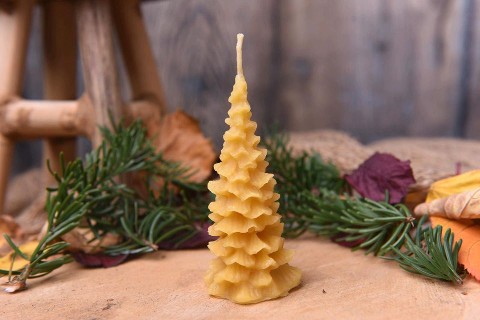 Bienenwachs Kerze Weihnachtsbaum Geschenk adventskranz in Dresden