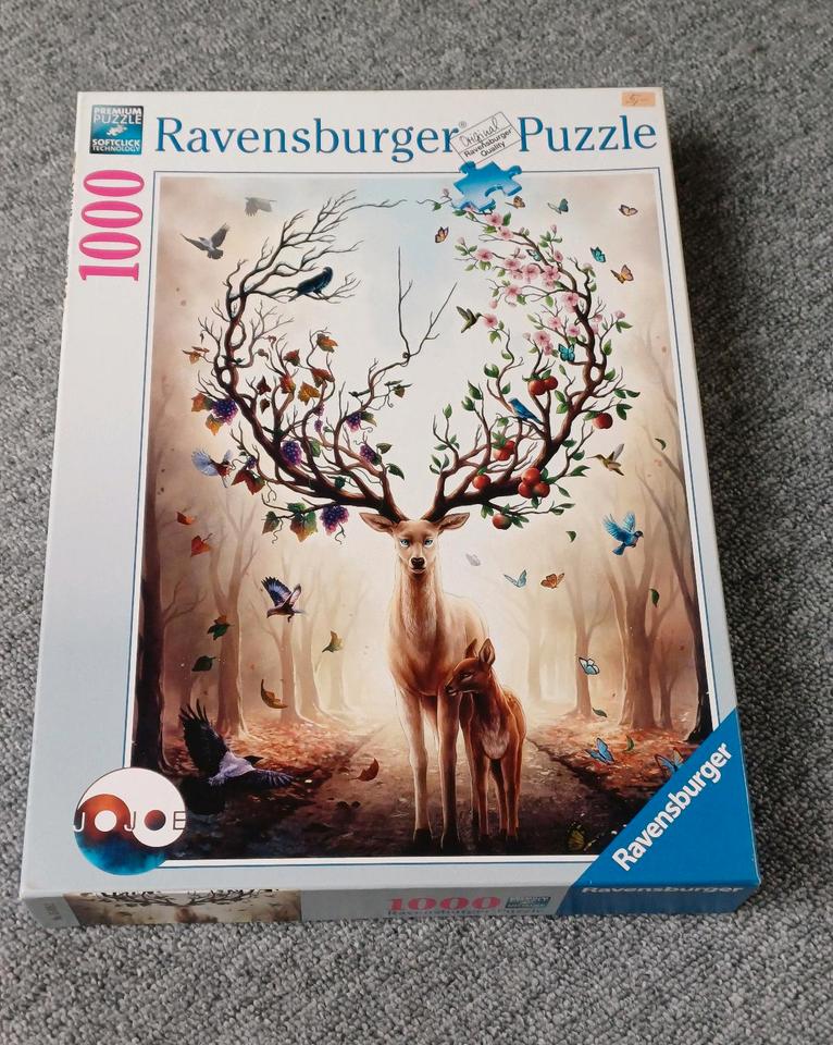 Puzzle Ravensburger Alphabet Ulli Stein Schmidt Art Clementoni in Neumünster