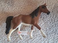 Schleich Pferd/Pony Dressur Rheinland-Pfalz - Alzey Vorschau