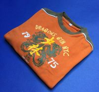 Dragons Sweatshirt / Shirt / Pullover / Pulli, Gr. 98/104, orange Nordrhein-Westfalen - Lünen Vorschau