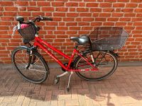 Damenfahrrad 28er rot Nordrhein-Westfalen - Detmold Vorschau