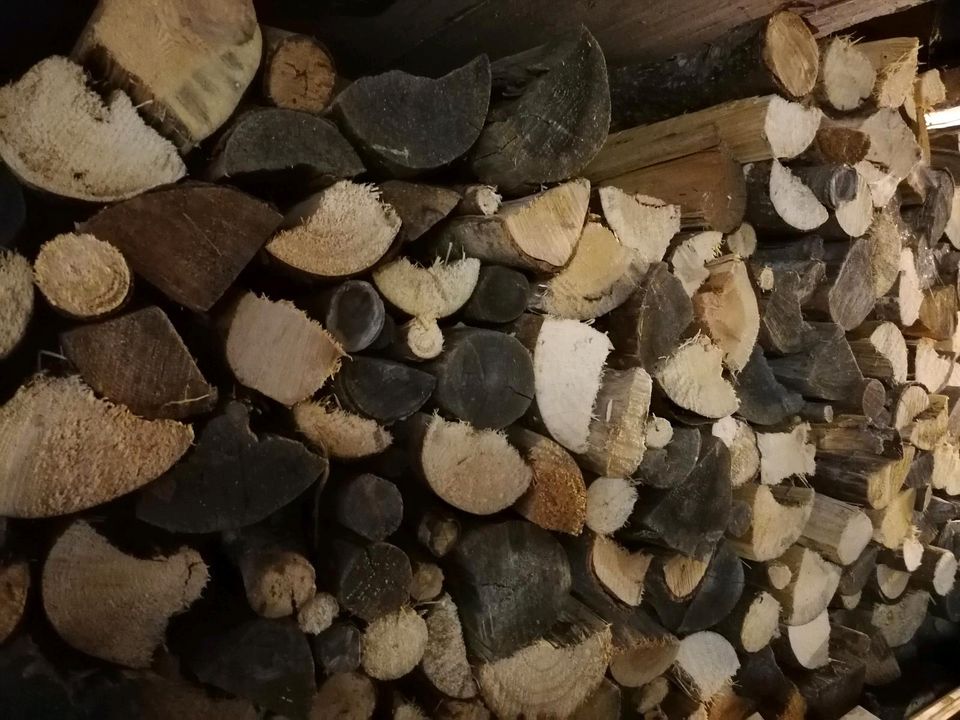 Holz Brennholz 50cm gespalten ofenfertig in Weiden (Oberpfalz)