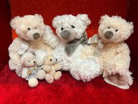 Teddy,Teddybär-Bären weiß Sammlung Konvolut,Stofftier,Plüschtier, Niedersachsen - Algermissen Vorschau