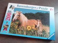 Ravensburger Puzzle Pferde Haflinger 200 XXL vollständig 8+ Nordrhein-Westfalen - Haltern am See Vorschau