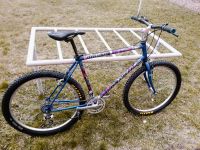 Raleigh Diabolo DYNA-TECH Titanium 26" MTB, Klassiker 90's ,TOP!! Bayern - Augsburg Vorschau