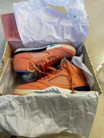 Jordan 5 Retro DJ Khaled We The Best purpurrot Baden-Württemberg - Karlsruhe Vorschau