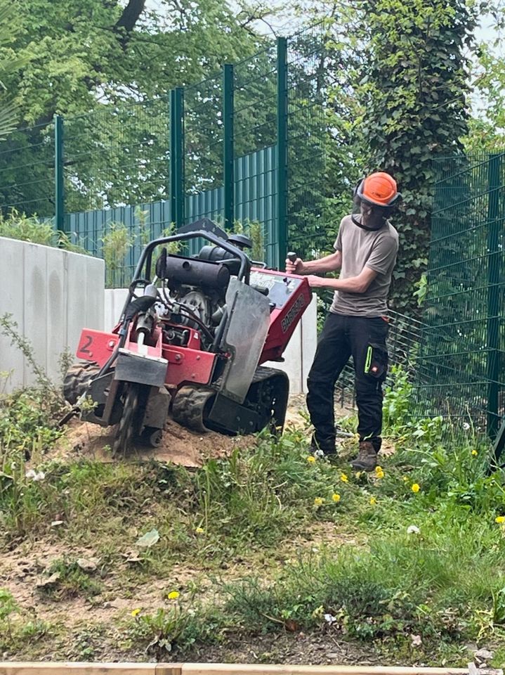 Erdarbeiten/Baggerarbeiten in Würselen