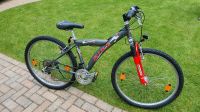 Mountainbike 26 Zoll 21 Gang Fahrrad Kinderfahrrad grau Bochum - Bochum-Nord Vorschau