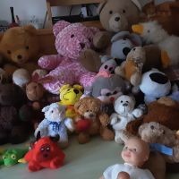 Unsere Teddyfamilie sucht ein liebevolles neues Zuhause Bayern - Wallersdorf Vorschau