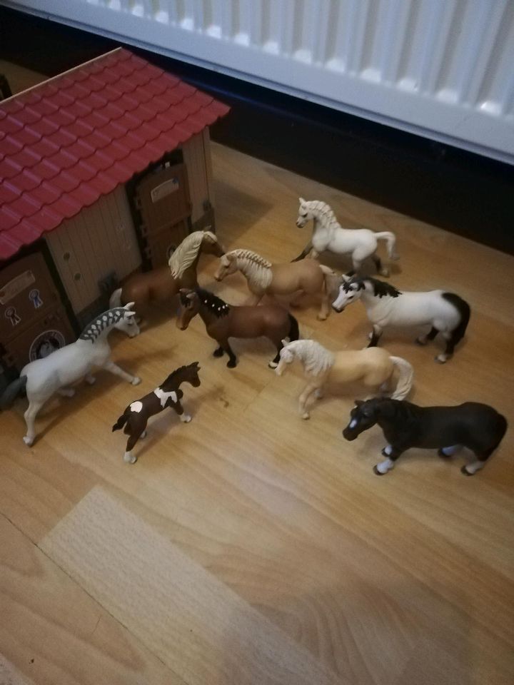 Schleich Stall mit Pferden in Aue