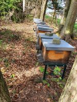 Bienenvölker Bayern - Ergoldsbach Vorschau